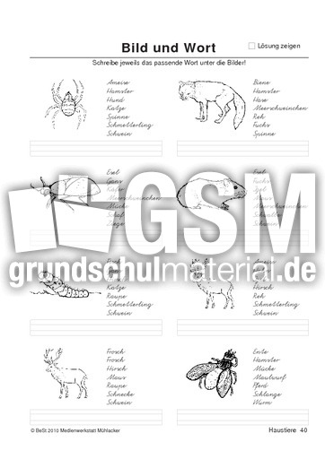 BuW Haustiere40.pdf